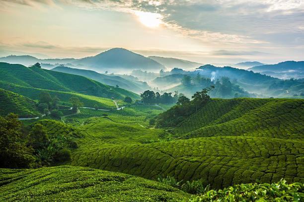 Ou Inn Cameron Highlands ,Ferm Nyonya Restaurant Tanah Rata Exterior photo